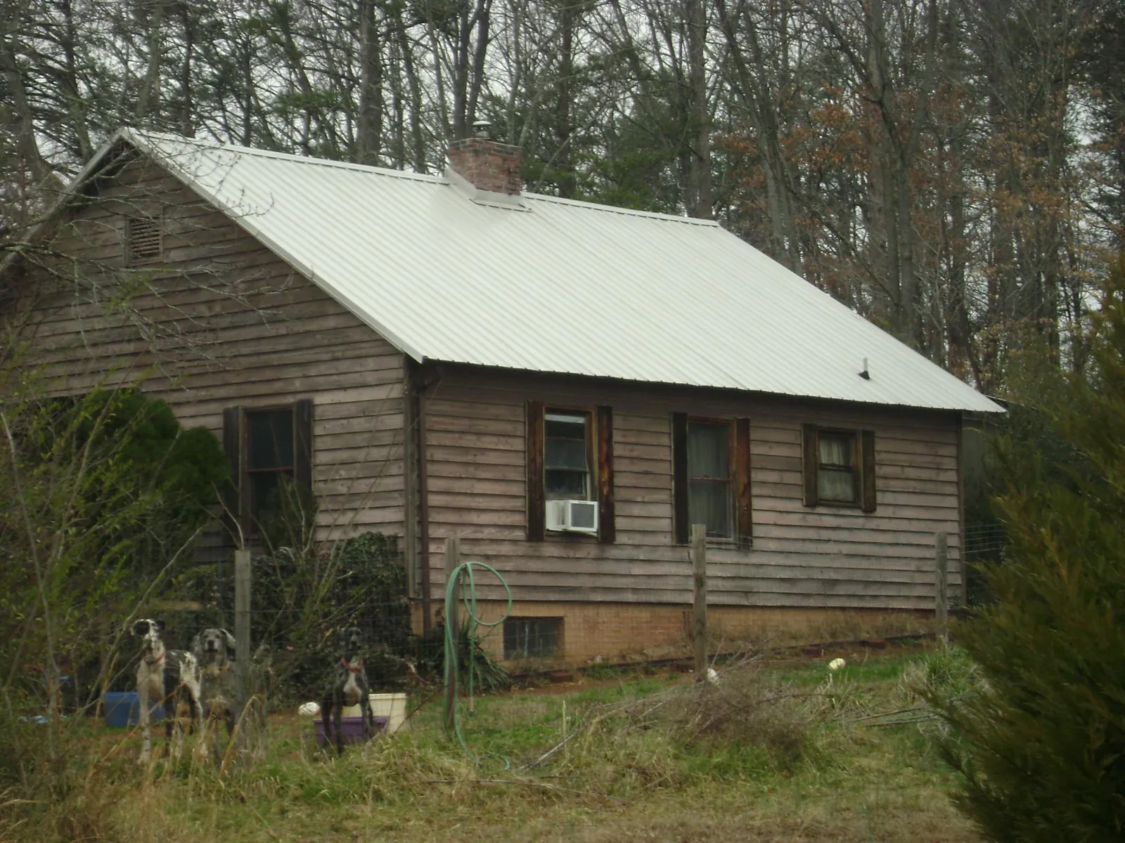 White metal roof on an old wood sided farmhouse, from a Asphalt Shingle Roof Repair job in Longmeadow